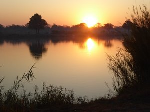 Dawn on the Okavango as we made an early start for our long drive