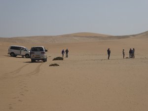 Amongst the dunes