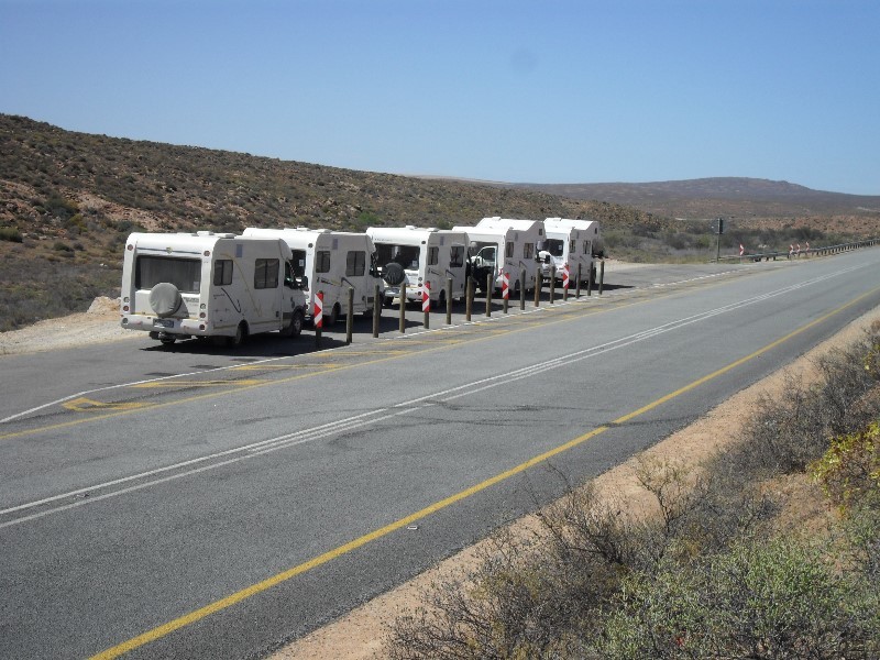 Five vans parked in the desert