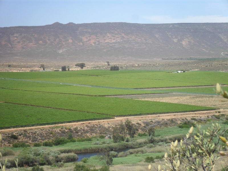 The vineyards, they even had their own irrigation canal