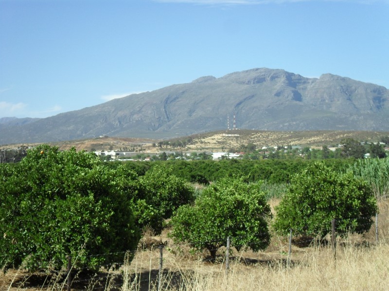 Citrusdel with its fruit trees and the Cedarberg Mountains behind