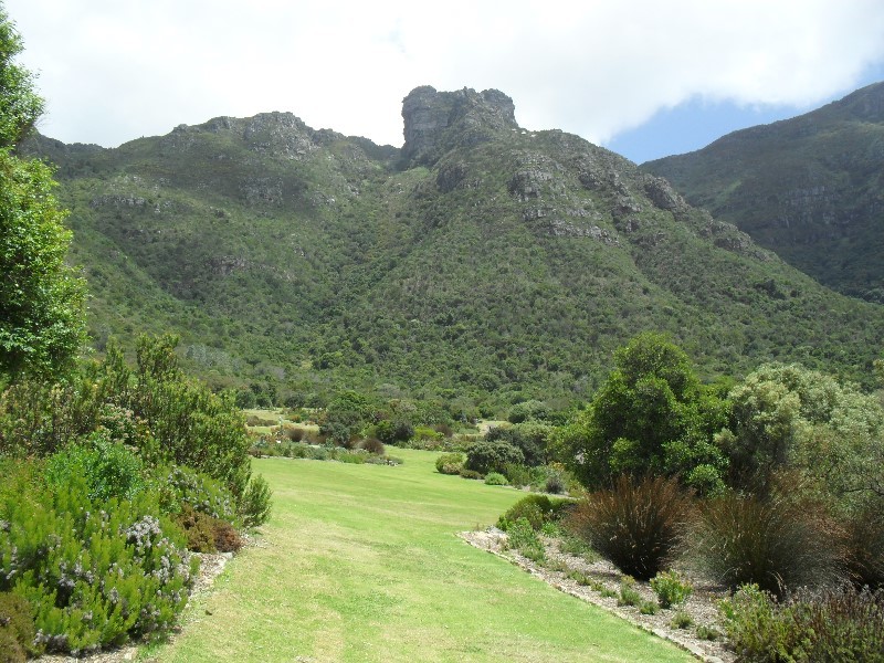 The proteas are set in a huge area of lawns at the top of the gardens