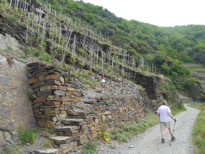 Some ancient retaining walls holding up the terraces