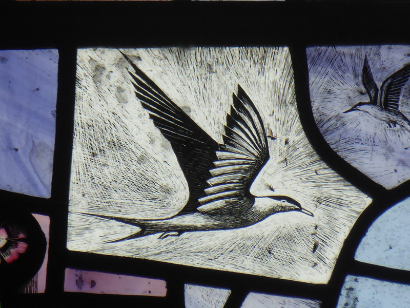 Detail in one of the stained glass windows showing the Arctic Tern
