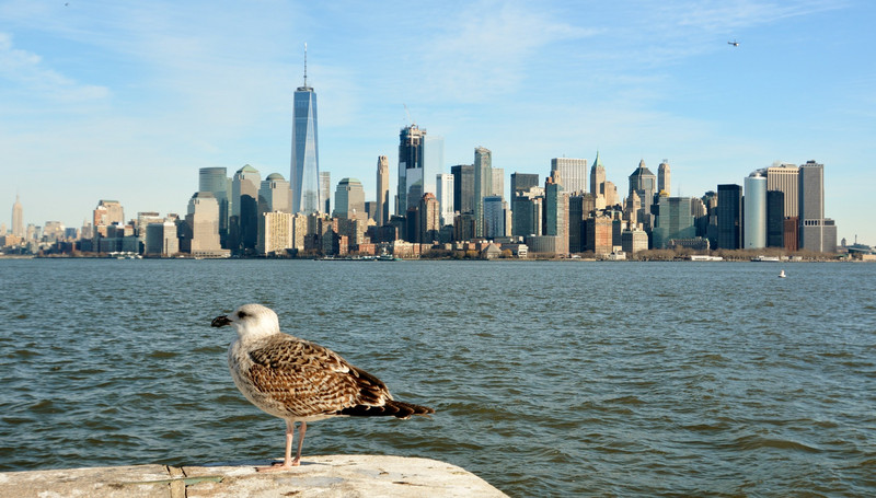 et son point de vue magnifique sur Manhattan !