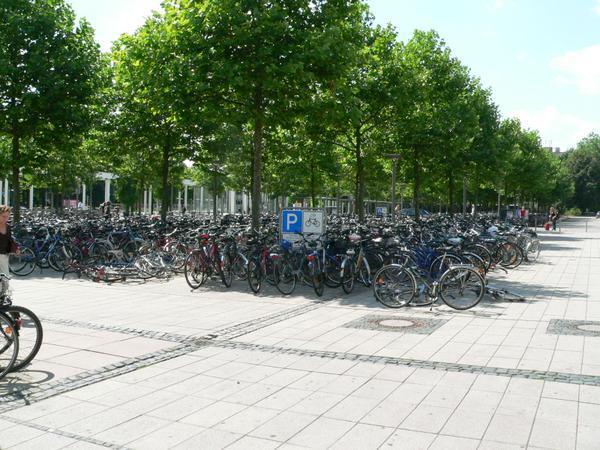 Please, look at all the bikes!