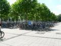 Please, look at all the bikes!