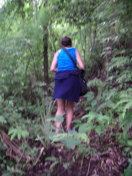 Helen hacking here way through the Panamanina rain forest