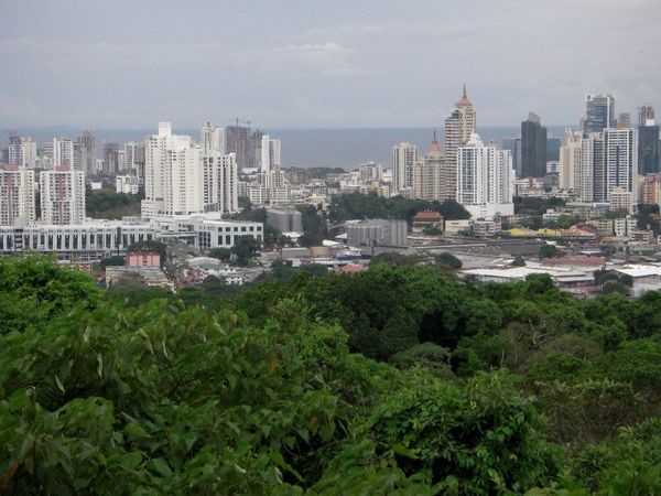 View from the rain forest of Panama City