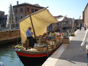 Venice Farmer's Market