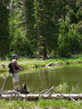 Shane fishing in Yellowstone