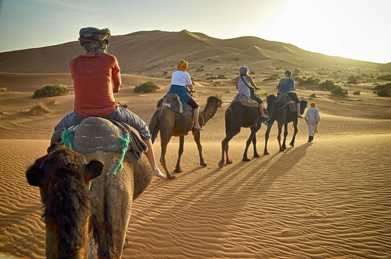 Sunset Camel Trek