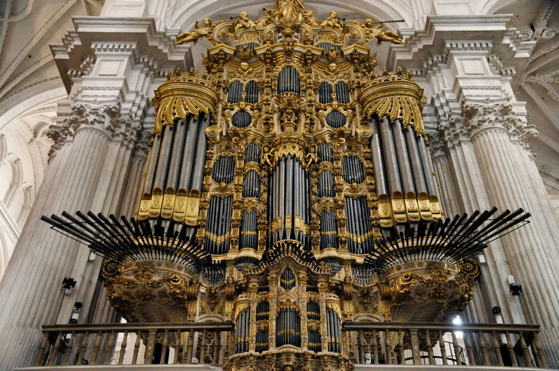 Huge Organ