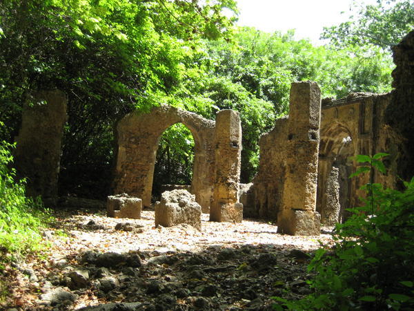 Mnarani Ruins II