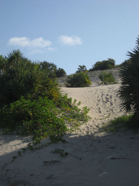 Sand dunes on Shela