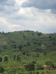 Kibuye to Kigali drive 8