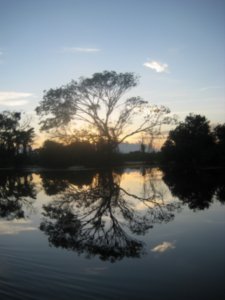 Amazon sunrise