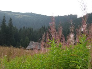 Hut in the Tatry Mountains