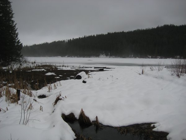 Frozen lake, Whistler