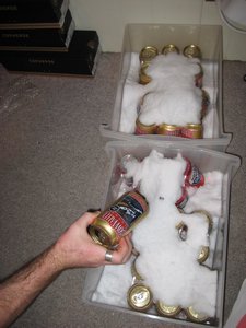 Who needs a fridge when you have snow?