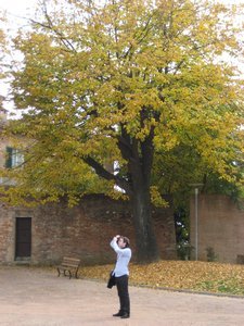 Autumn in Siena