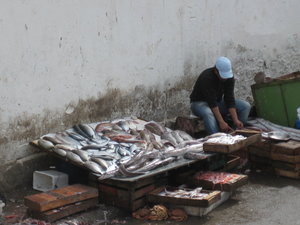 Essaouira fisherman