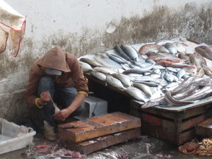 Essaouira fisherman