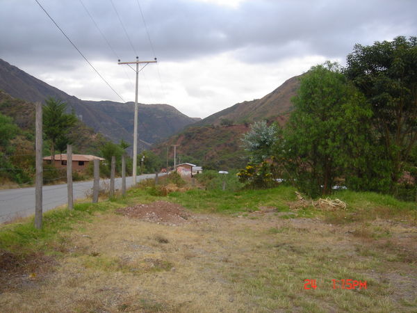 Limatambo