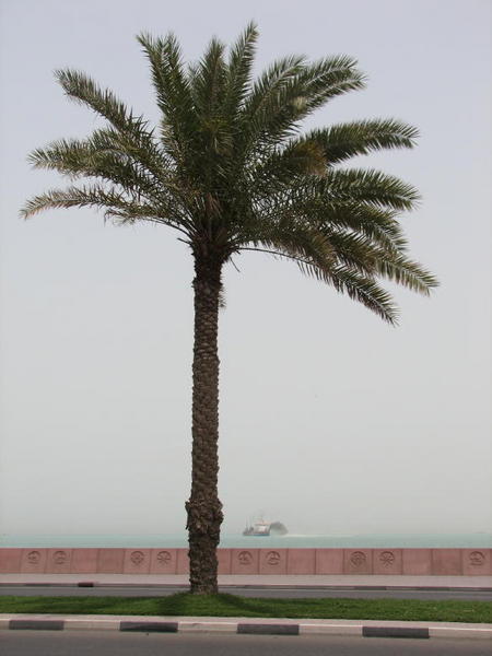 Making a palm tree