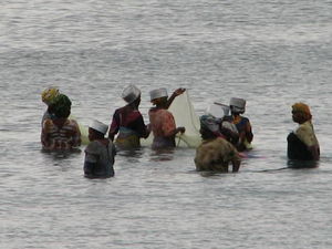 Local Fisherwomen on Zanzibar