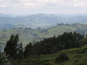 Rwandan scenery