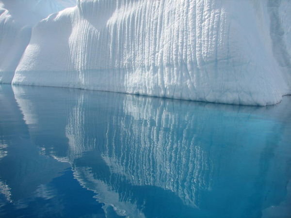 Antarctica Cuverville iceberg reflection