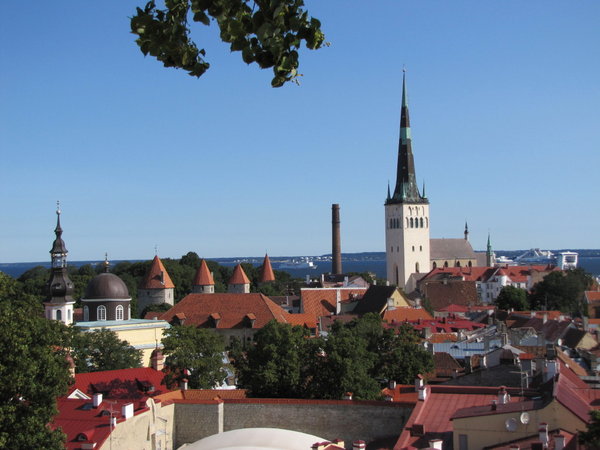 Tallinn lookout over old town