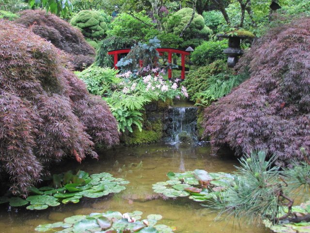 Victoria Butchart Japanese Gardens