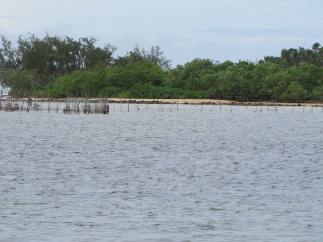 Tonga fish nets