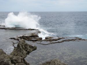 Blowholes - awesome.
