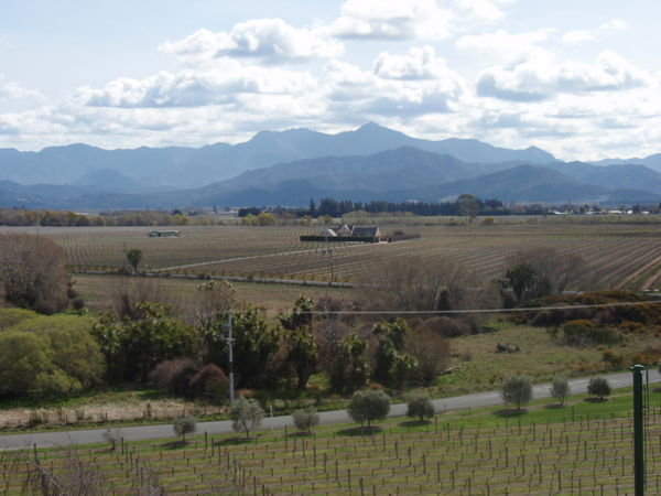 View from one of the winery