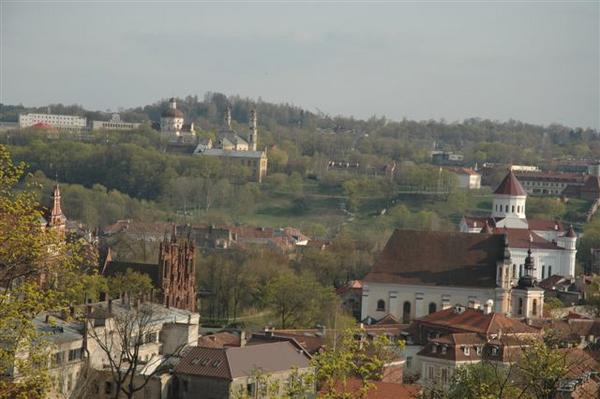 Castle Hill View