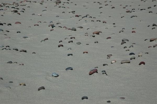 Baltic Beach Stones