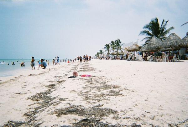 More Progreso beach