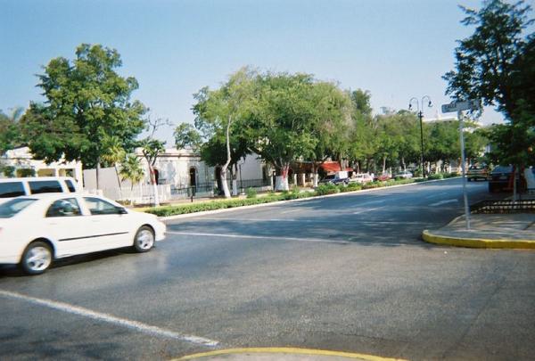 Paseo Montejo Historical District 3