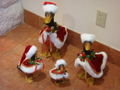 Christmas Ducks in the Texas Hill Country