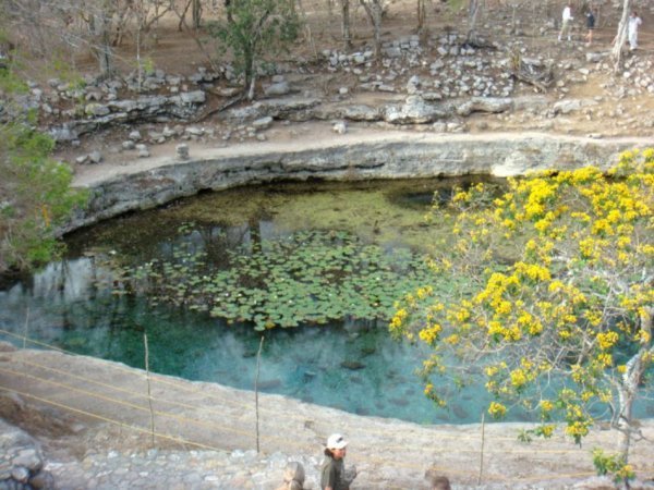 Cenote and on the grounds 5