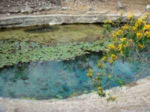 Cenote and on the grounds 3