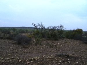 B-Hunting in Uvalde Texas (18)