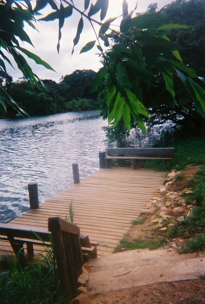 Rodger's dock
