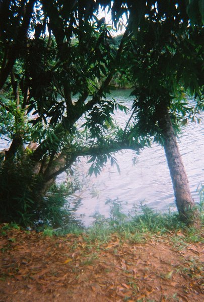 Sittee River view
