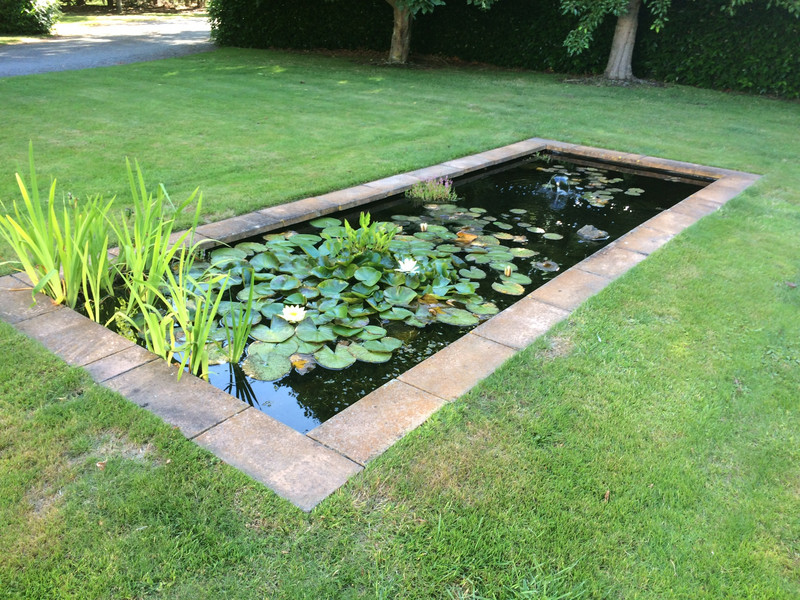 Fish pond at our rental