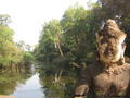 Angkor's watching