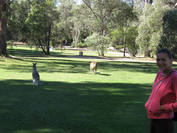 Bella and the Roos!